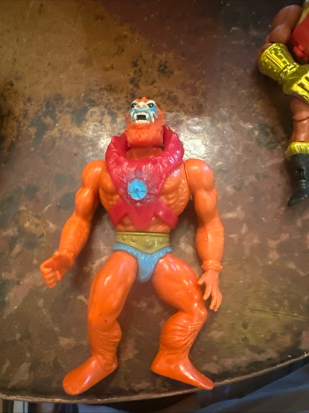 Motu - Picture 2 of 11